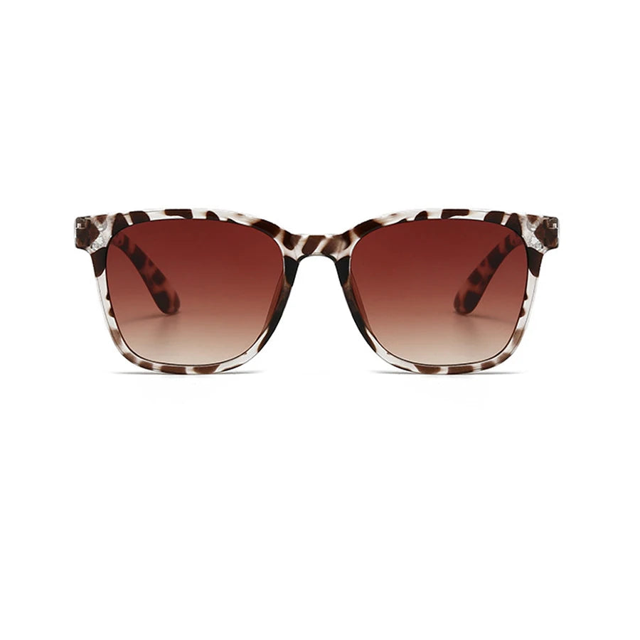SquareLux Eyewear